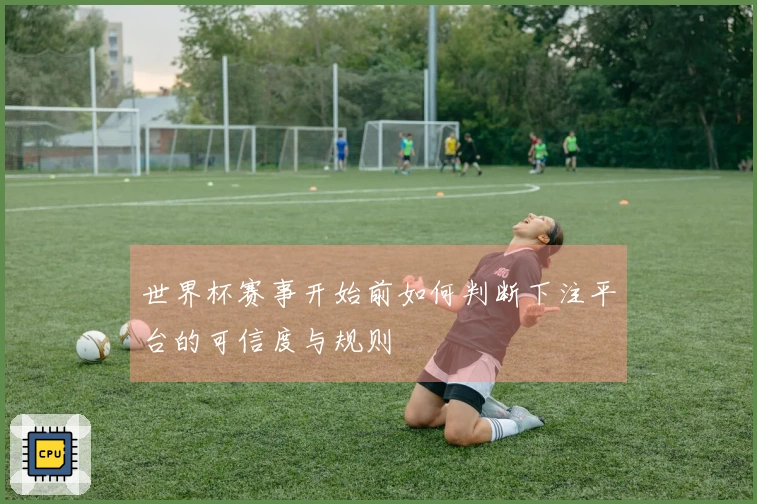 世界杯赛事开始前如何判断下注平台的可信度与规则