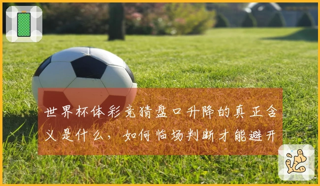 世界杯体彩竞猜盘口升降的真正含义是什么，如何临场判断才能避开错误投注？