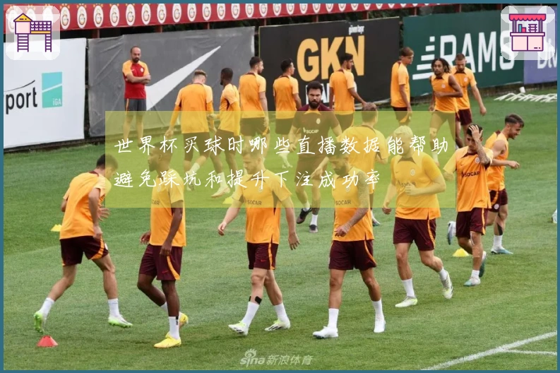 世界杯买球时哪些直播数据能帮助避免踩坑和提升下注成功率