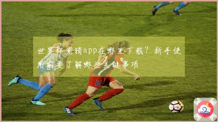 世界杯竞猜app在哪里下载？新手使用前要了解哪些关键事项