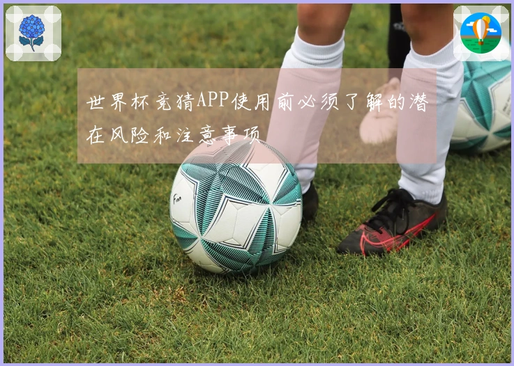 世界杯竞猜APP使用前必须了解的潜在风险和注意事项