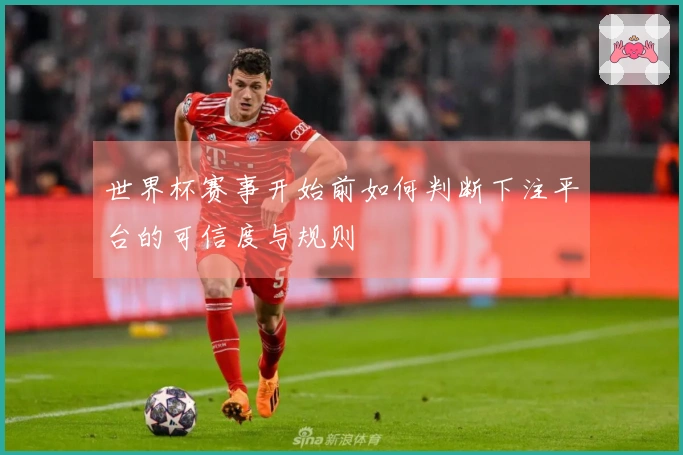 世界杯赛事开始前如何判断下注平台的可信度与规则