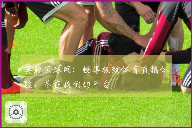 英超买球网：畅享极致体育直播体验，尽在我们的平台