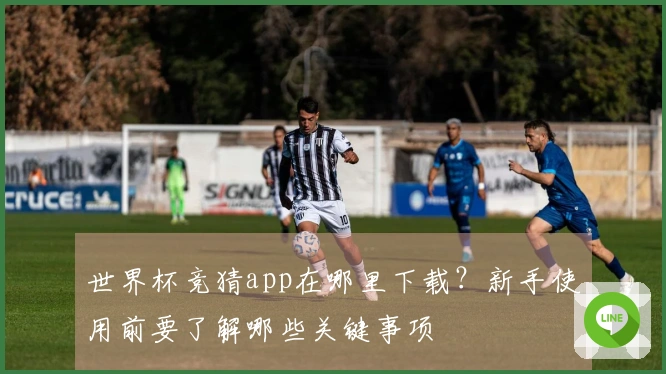 世界杯竞猜app在哪里下载？新手使用前要了解哪些关键事项